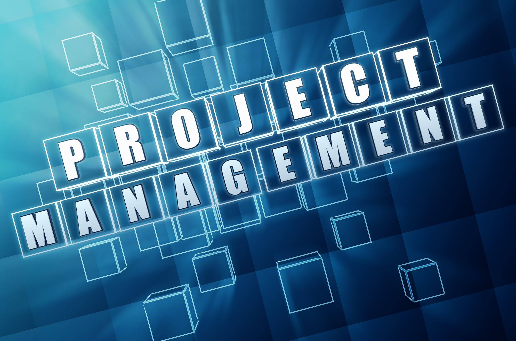 One of the most important elements of successful drug substance project onboarding is project management.