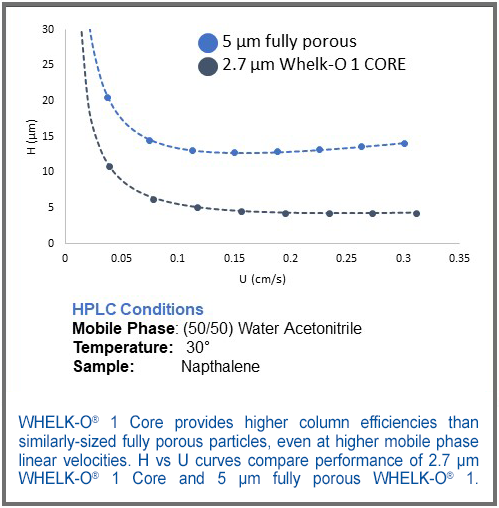 Van deemter Whelk o1 CORE