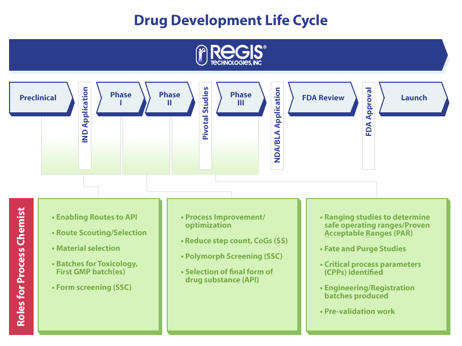 Process Chemistry Drug Development Life Cycle