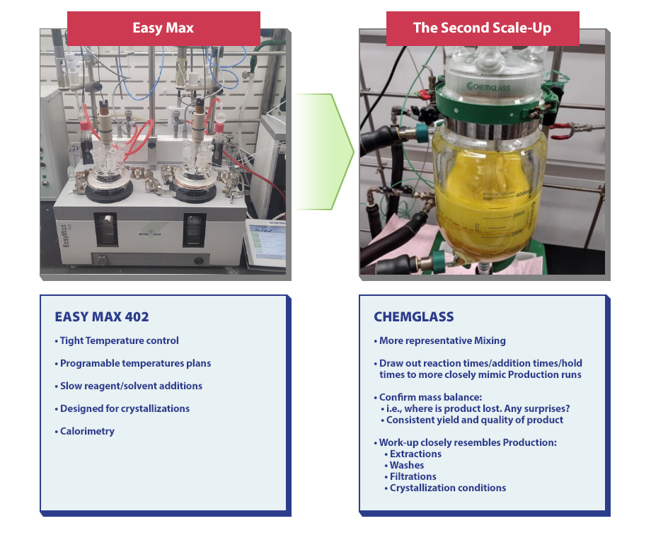 Process Development First Scale-Up